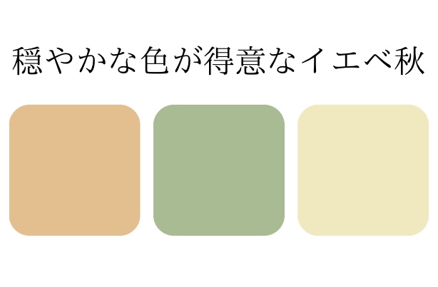イエベ春と間違えやすいイエベ秋の色見本
穏やかな明るめの色の色見本